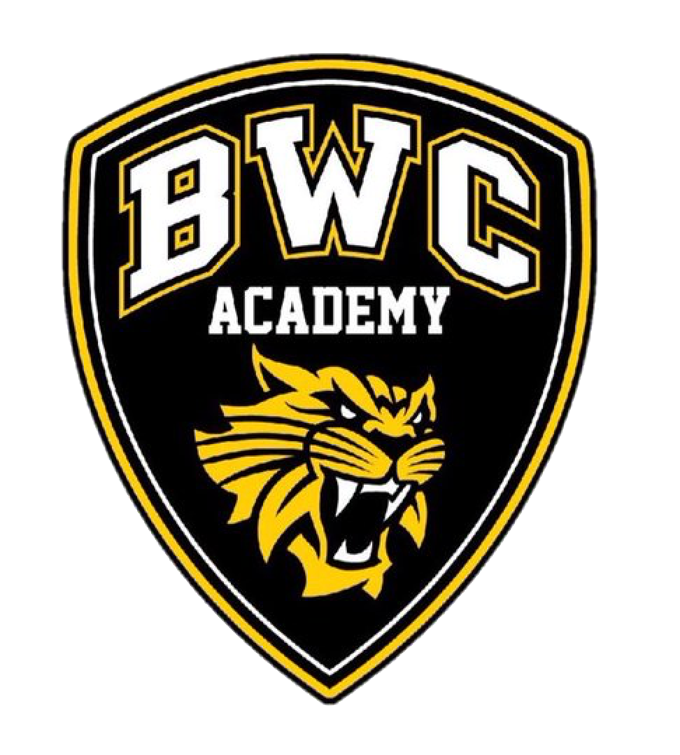 BWC Hockey Academy