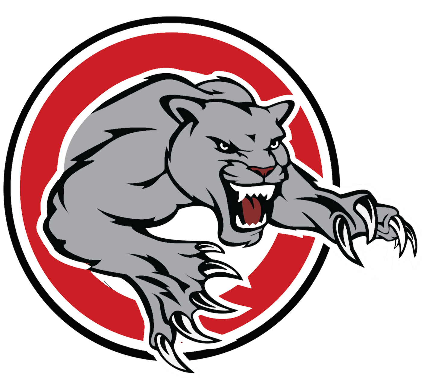 Port Moody Panthers