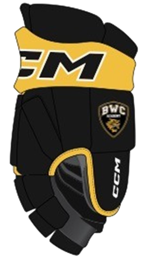 S24 BWC Academy CCM HG95C Gloves